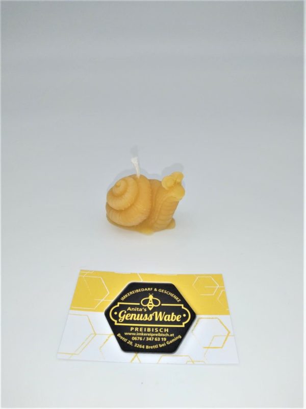 Kerze Schnecke